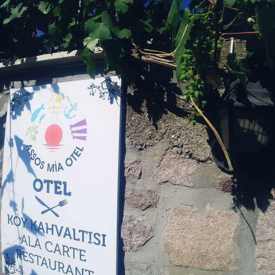 Assos Mia Otel Ayvacik Buitenkant foto